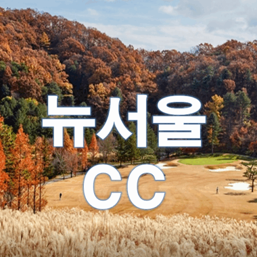 뉴서울cc 골프회원권