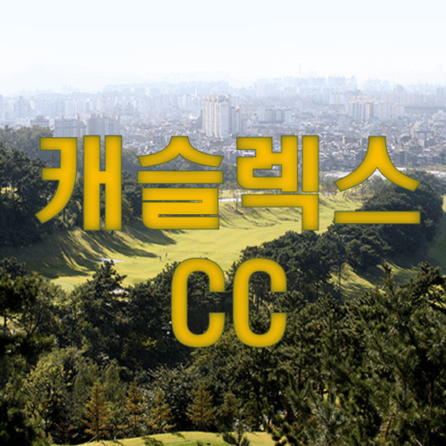 캐슬렉스cc 골프회원권