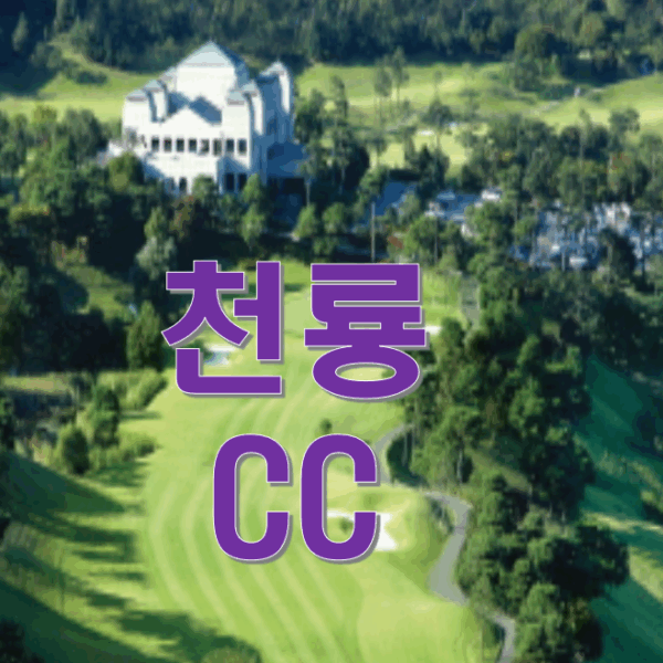 천룡cc 골프회원권
