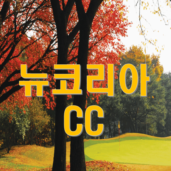 뉴코리아cc 골프회원권