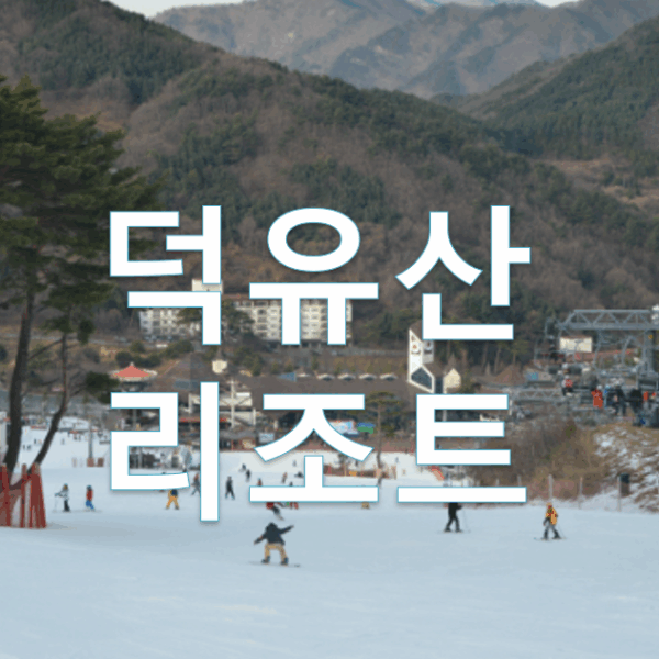 덕유산리조트 골드 창립회원권