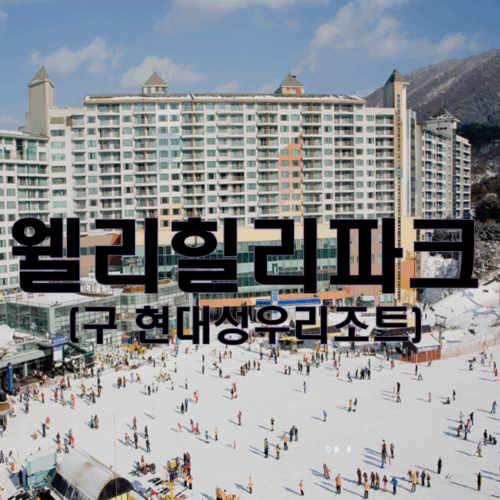 웰리힐리파크 35평 스위트형 콘도회원권