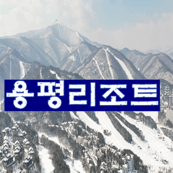 용평리조트 콘도회원권 매각