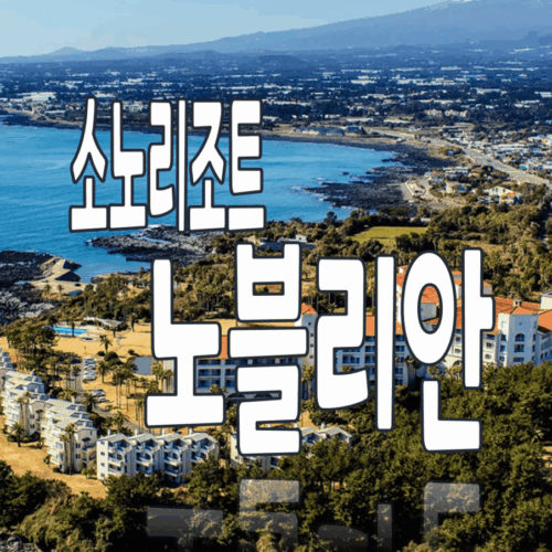 소노리조트 노블리안 실버 골드 로얄 회원권 매물