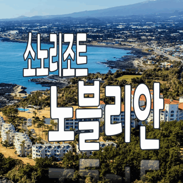 소노리조트 노블리안 실버 골드 로얄 회원권 매물