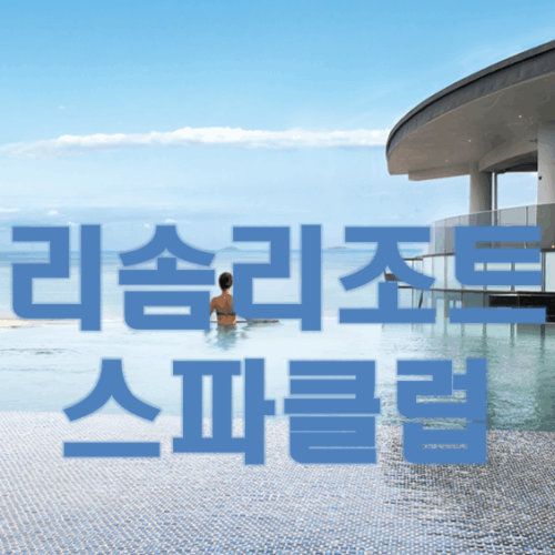 리솜리조트 스파회원권 1~4인