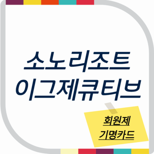 소노호텔앤리조트 이그제큐티브 기명카드 회원권