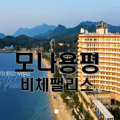 용평 비체팰리스 콘도회원권 매각