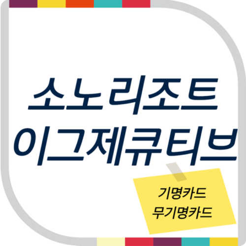 소노호텔앤리조트 이그제큐티브회원권(기명, 무기명카드)
