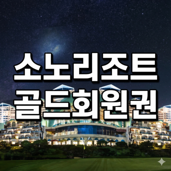 [소노호텔앤리조트 회원권] 전국 17개 체인 평생 누리는 VIP 골드 50평형 시세 및 혜택 완벽 정리
