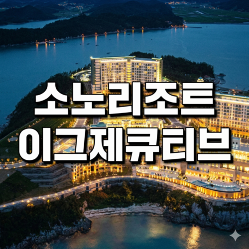 소노호텔앤리조트 이그제큐티브회원권(기명/무기명/프라임카드) 선택 안내