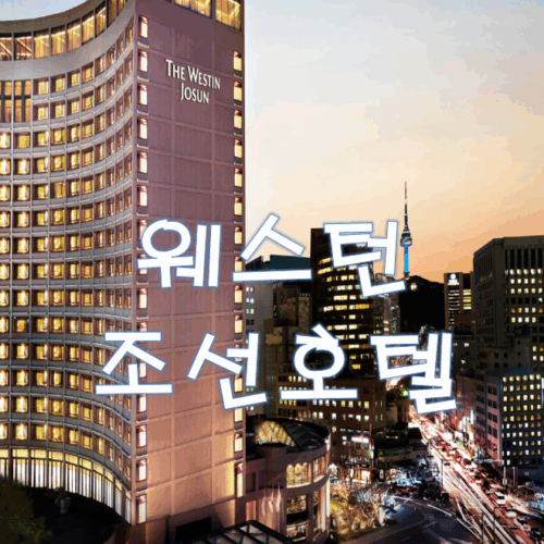 소공동 웨스턴조선호텔 피트니스클럽 회원권