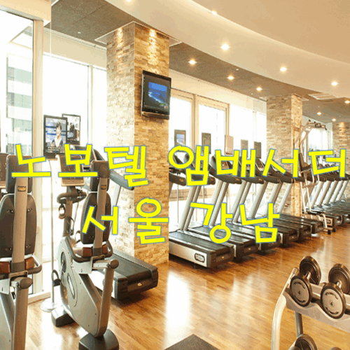 노보텔앰배서더 강남